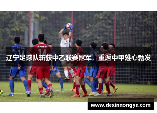 辽宁足球队斩获中乙联赛冠军，重返中甲雄心勃发
